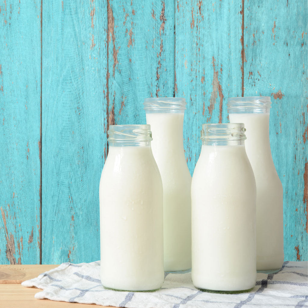 Plant-based Milk Vs. Dairy Milk